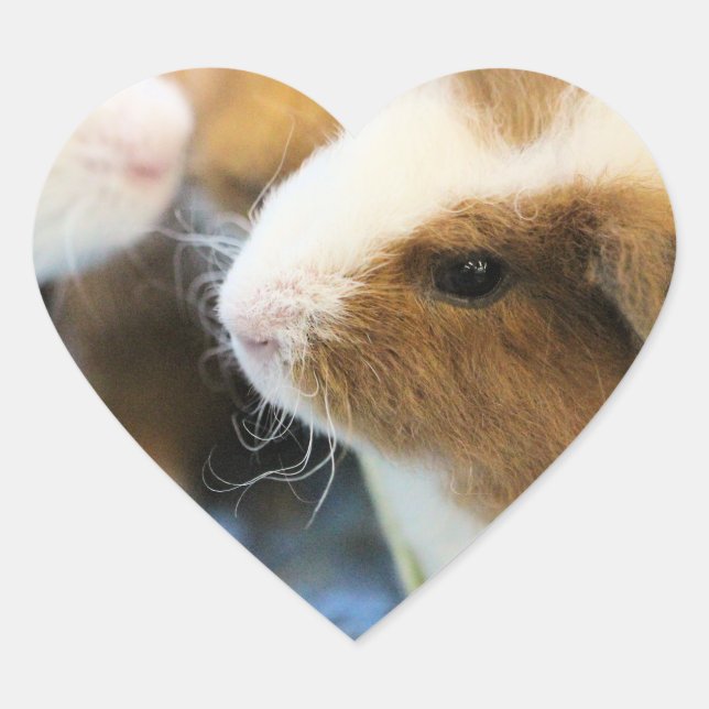Sticker Cœur Piggy (Devant)
