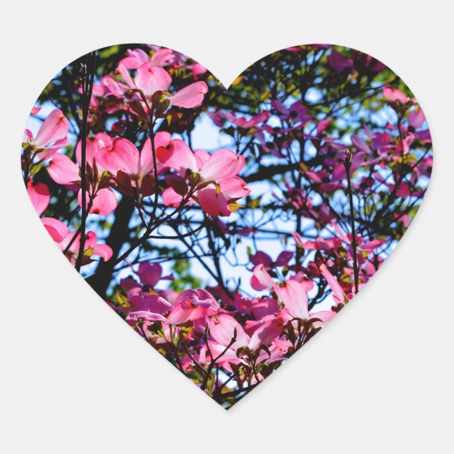 Sticker Cœur Pink flowering Dogwood tree (Devant)