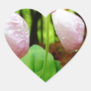 Sticker Cœur Pink Lady Slipper sauvage orchidée