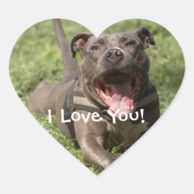 Sticker Cœur Pitbull Brown Personnalisé En Herbe (Devant)