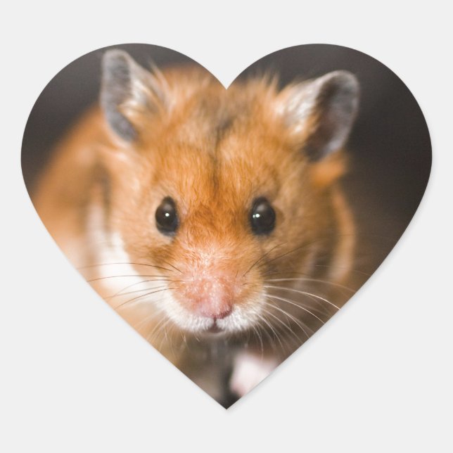 Sticker Cœur Ratty le hamster (Devant)