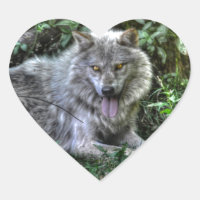 Repos Loup gris 3 Cadeau faunique