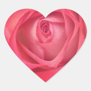 Sticker Coeur Rose Fire & Ice