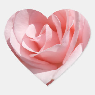Sticker Coeur Rose Rose Rose
