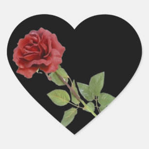 Sticker Cœur Rose rouge sur noir