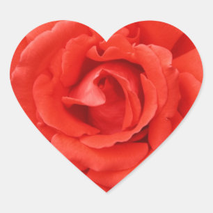 Sticker Cœur Saint-Valentin