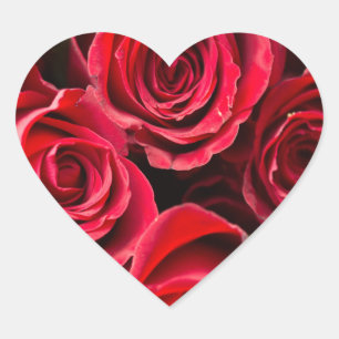 Sticker Cœur Saint Valentin Roses rouges