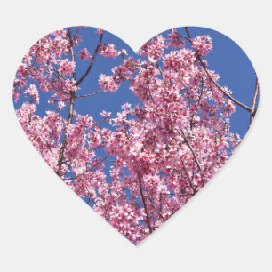 Sticker Cœur Sakura Cerisiers en Fleur Dans Le Bleu