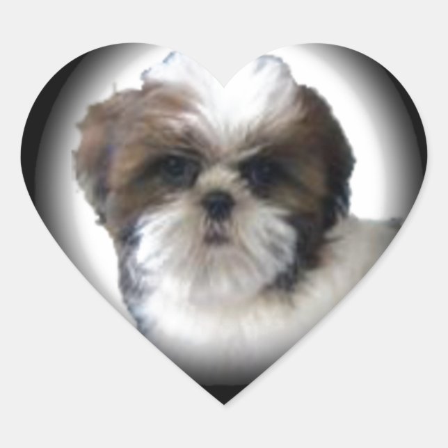 Sticker Cœur Shih-Tzu (Devant)