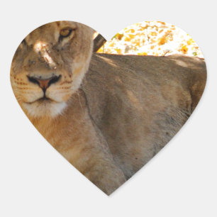 Sticker Cœur Siesta Time