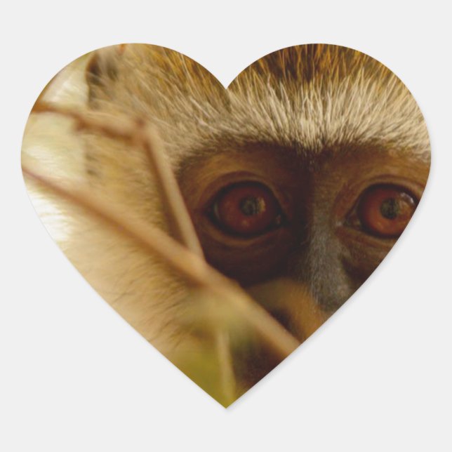Sticker Cœur Singe Cheeky. (Devant)