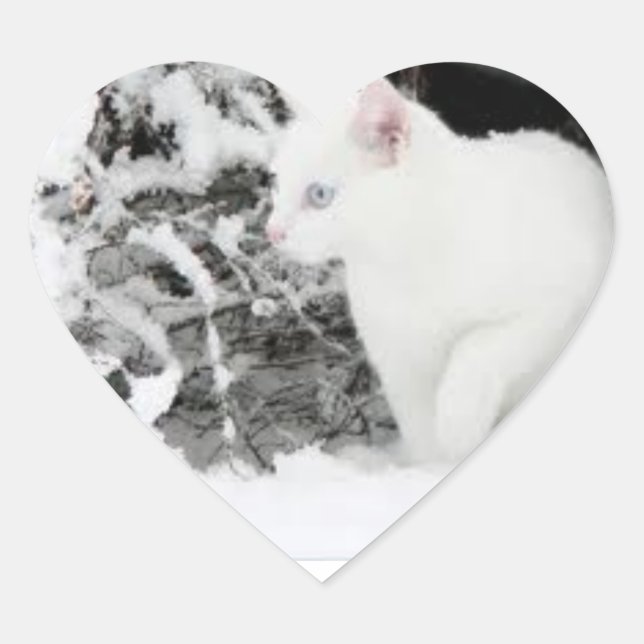 Sticker Cœur Snowstorm love sticer (Devant)