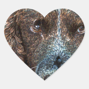 Sticker Cœur Springer anglais