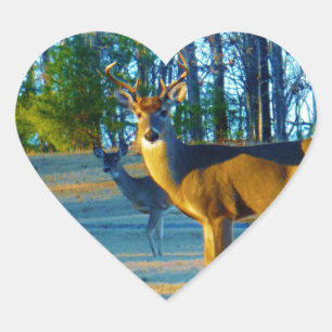 Sticker Cœur Stade / Buck Deer, Ciel bleu clair