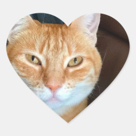 Sticker Cœur Tabby