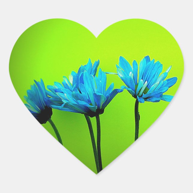 Sticker Cœur Teal Turquoise Daisies on Lime Green Flower (Devant)