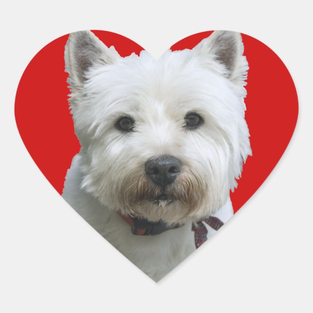 Sticker Cœur Terrier de West Highland (Devant)