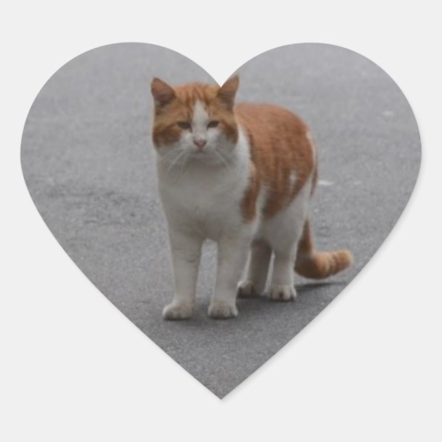 Sticker Cœur Thomas Ginger Et Chat Blanc (Devant)
