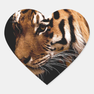 Sticker Cœur Tiger