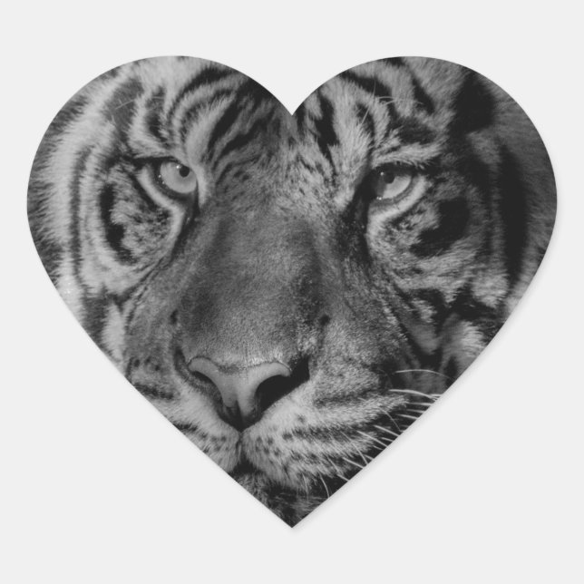 Sticker Cœur Tigre noir et blanc (Devant)