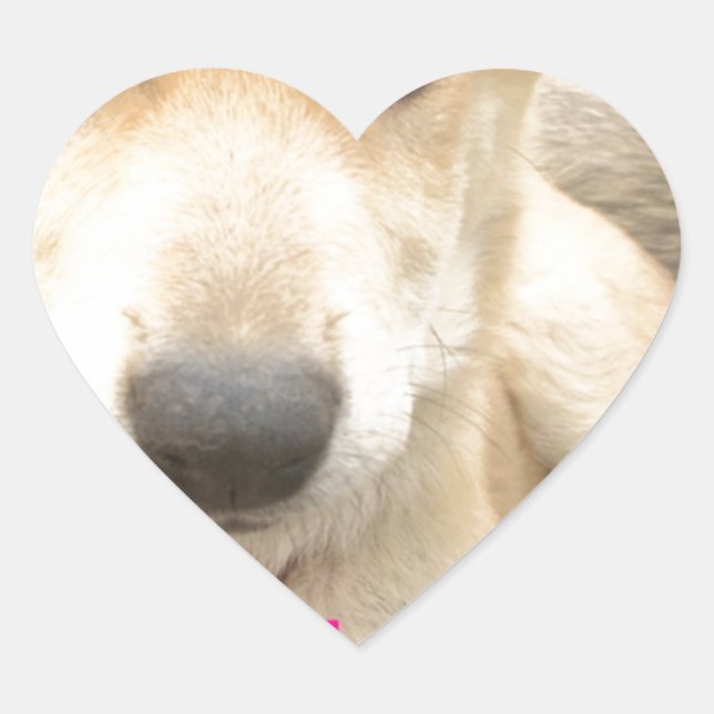 Sticker Cœur Tu Devrais WIFI Ton Amour Tous Les Jours (Devant)