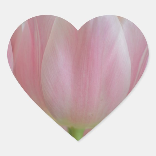 Sticker Cœur Tulipes douces (Devant)