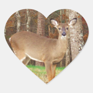Sticker Cœur Un cerf de rêve de chasseur