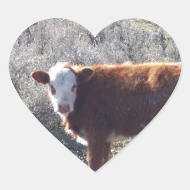 Sticker Cœur Vache à portée libre (Devant)