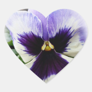 Sticker Cœur violet profond sur blanc