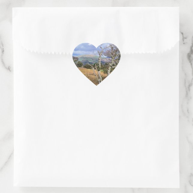 STICKER CŒUR VUES DES ALLES (Sac)