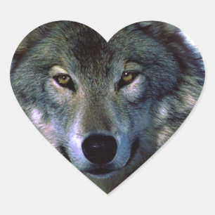 Sticker Cœur Yeux de loup gris