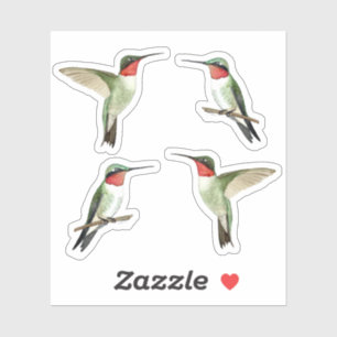 Sticker Colibri à gorge rubis