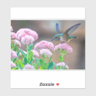 Sticker Colibri Et Nectar