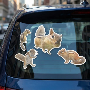 Sticker Collection d'autocollants de tamia