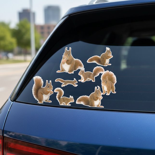 Sticker Collection d'autocollants d'écureuils (Squirrel watching is a whole personality.)