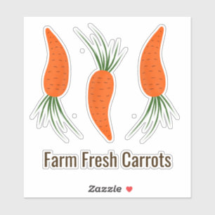Sticker Collection de carottes botaniques 