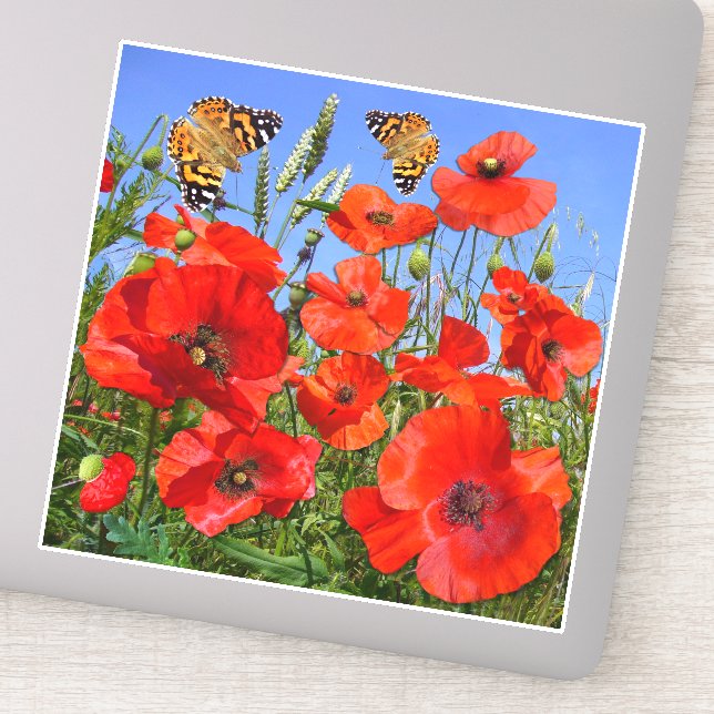 Sticker Coloré Champ de Pavot (Détail)