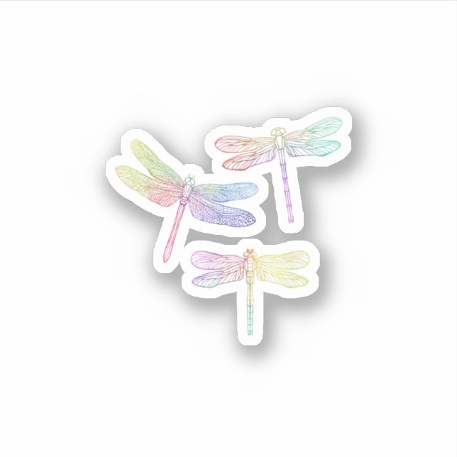 Sticker Colorful Dragonfly  (Devant)