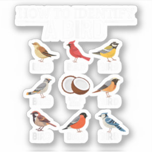 Sticker Comment Identifier Un Oiseau Drôle À Observer