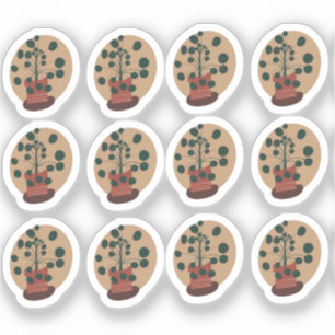 Sticker Conception de dessin Plante Peperomia