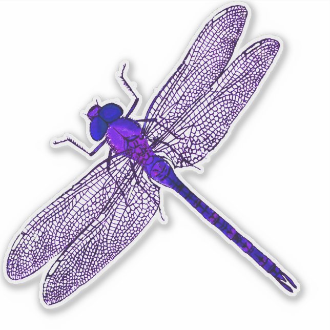 Sticker Contour de libellule pourpre (Devant)