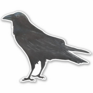 Sticker Corneille d'oiseaux noirs