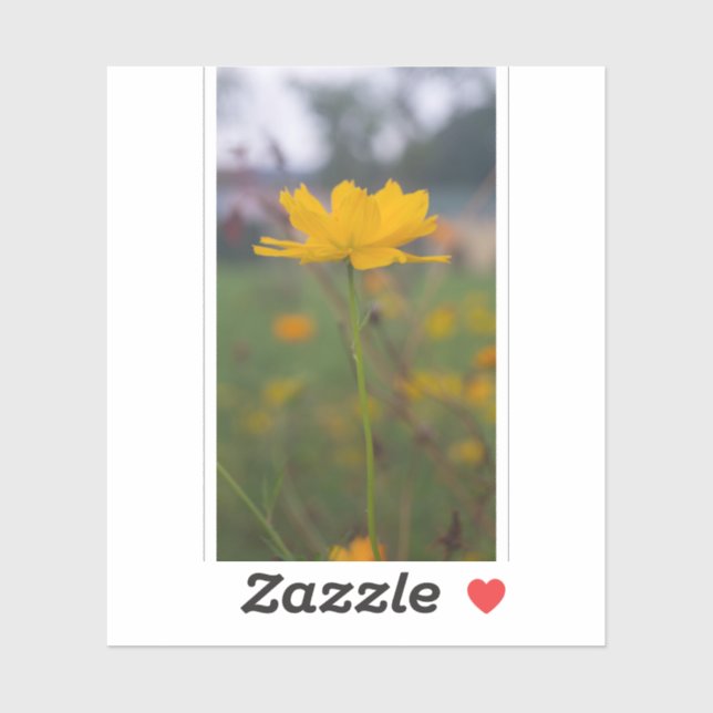 Sticker Cosmos sulfur 05 (Feuille)