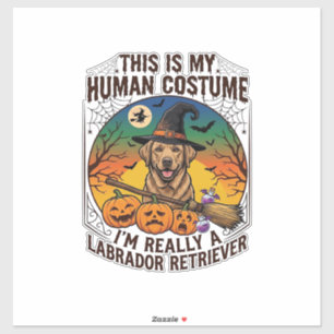 Sticker Costume Humain Labrador Retriever Sorcière d'Hallo