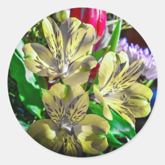 Sticker couleur Pop