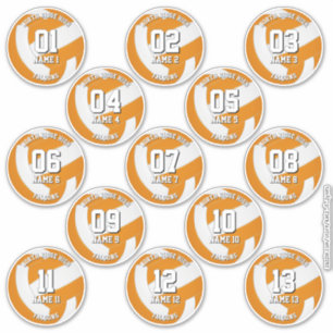 Sticker couleurs d'équipe de volley-ball orange autocollan