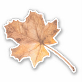Sticker coupe vinyle Maple Leaf de automne