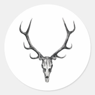 Sticker crâne cerf Antler