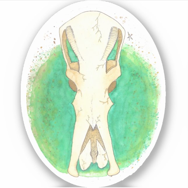 Sticker Crâne Platypus (Devant)