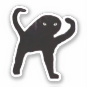 Sticker Cursed Cat Meme